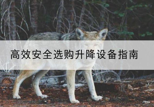 五河升降货梯厂家推荐-*安全选购升降设备指南