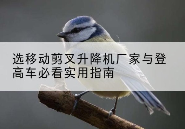五河电动升降机厂家-选移动剪叉升降机厂家与登高车必看实用指南