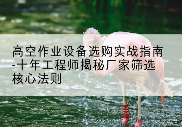 五河剪叉式升降机厂家-高空作业设备选购实战指南-十年工程师揭秘厂家筛选核心法则